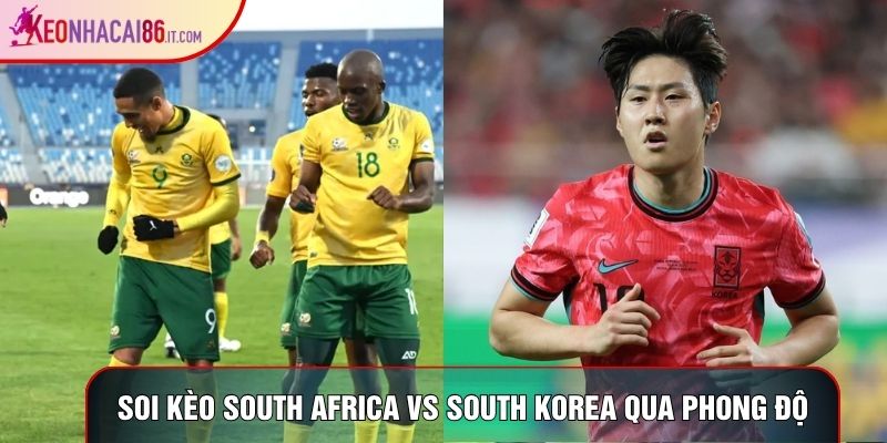 Soi kèo Nam Phi vs Hàn Quốc qua phong độ