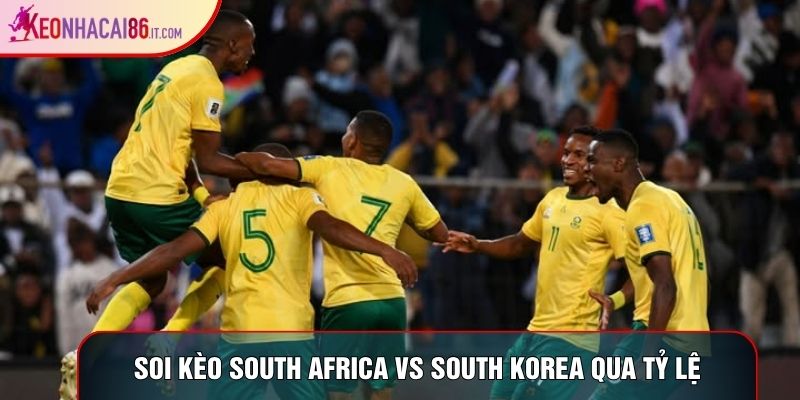 Soi kèo South Africa vs South Korea qua tỷ lệ Soi kèo South Africa vs South Korea qua tỷ lệ
