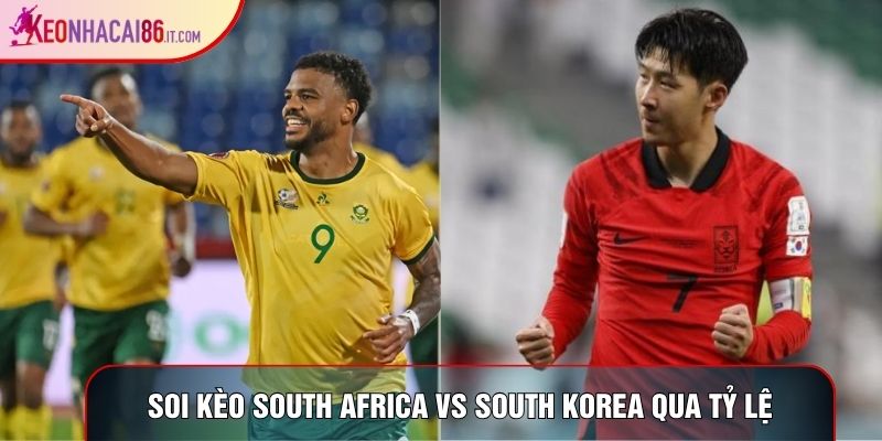 Soi kèo Nam Phi vs Hàn Quốc qua tỷ lệ