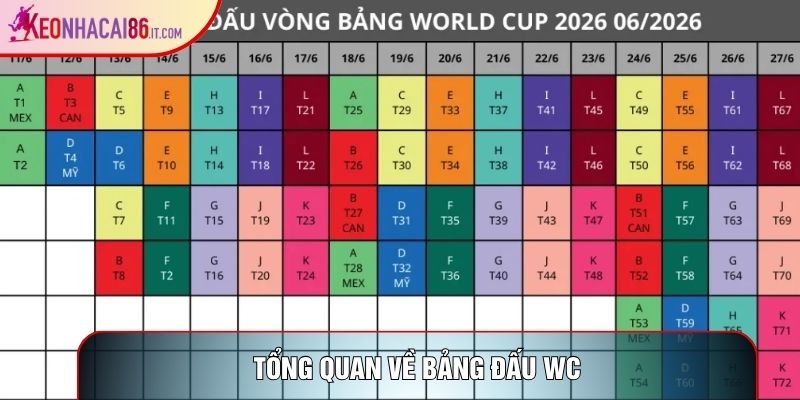 Tổng quan về bảng đấu wc